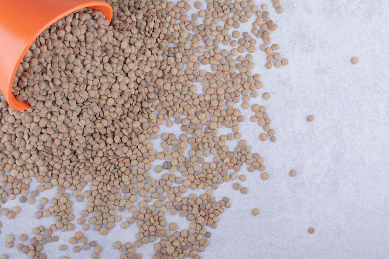 Tecnologia PROFISHFOOD